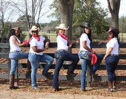 banner image for Diamond Angels Saddle Club LLLP